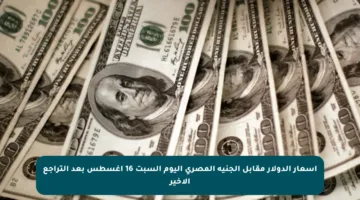 أسعار الدولار مقابل الجنيه المصري اليوم السبت 16 أغسطس بعد التراجع الأخير
